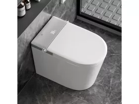   T9026A Okos WC – hátsó kifolyású monoblokk Smart WC, fehér kivitel